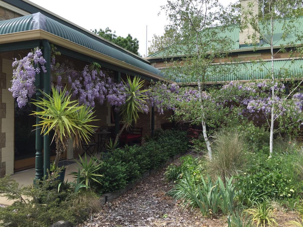 Clarevale Cottage B&B מראה חיצוני תמונה