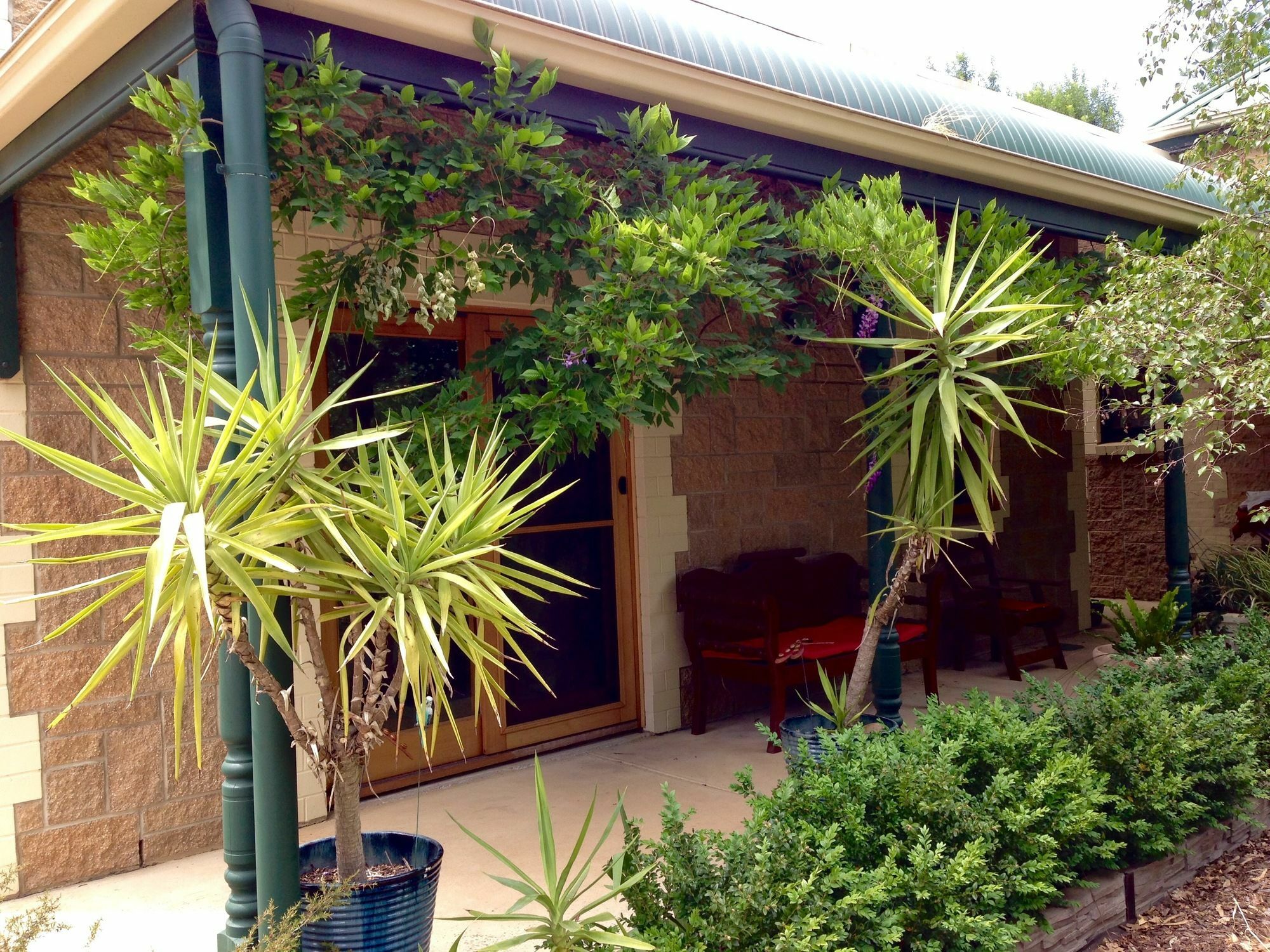 Clarevale Cottage B&B מראה חיצוני תמונה